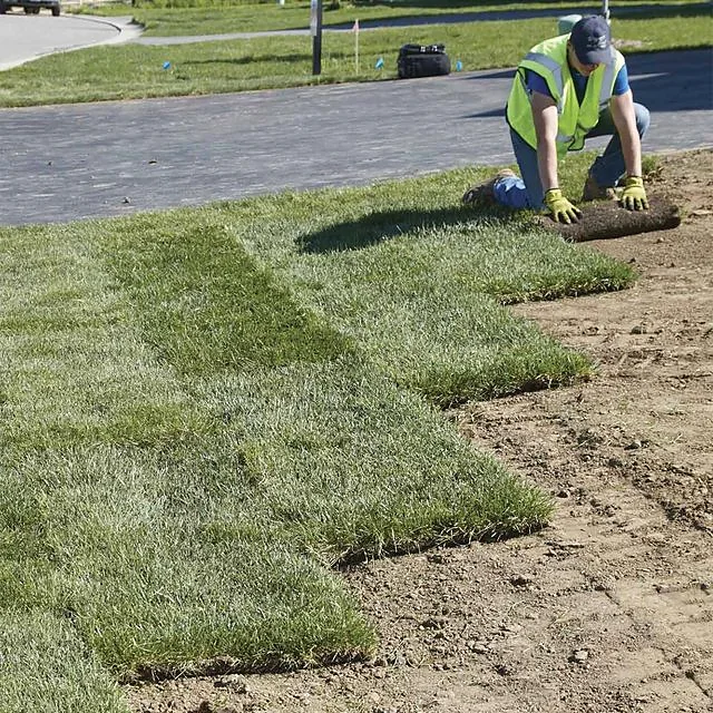 Sod Installation in Ontario: Prep, Watering & Aftercare