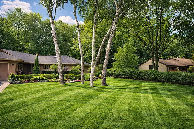 A&R maintained residential lawn with crisp mowing stripes and mature landscaping