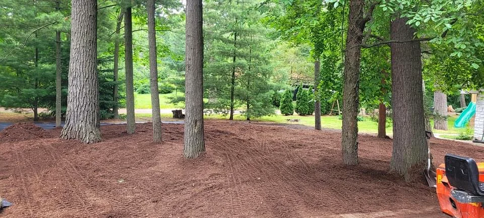 Finished woodland garden bed with fresh mulch