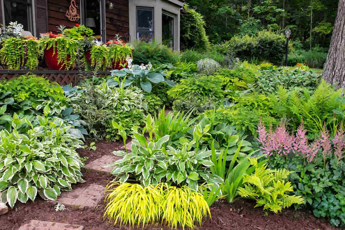 Oakville landscaping